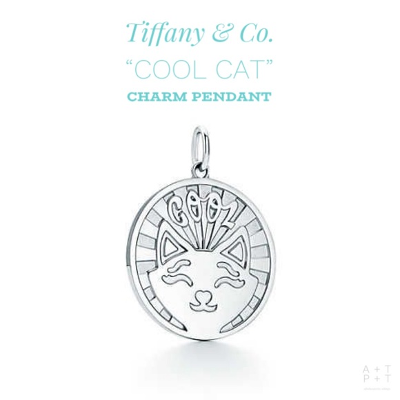 Jewelry | Tiffany Co Cool Cat Charm 